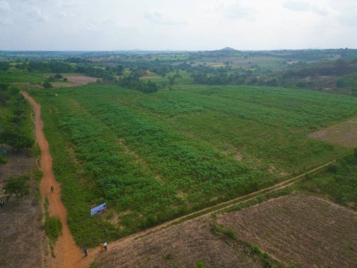 MH solar farms